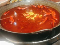 -杨记隆府(南坪店)