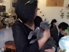 -海边的猫和咖啡馆