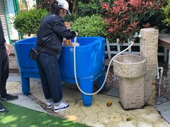 -汪说喵讲宠物乐园宠物酒店(红星美凯龙店)