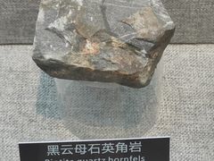 -甘肃地质博物馆