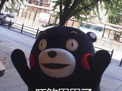 -茂昌眼镜(龙之梦购物中心店)