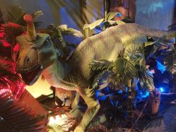 -恐龙探索乐园(磁器口店)