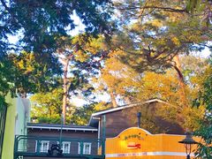 -三鹰之森吉卜力美术馆