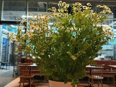 -麦田工坊(月湖店)