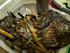 -多哥水傣味餐厅(司马巷店)