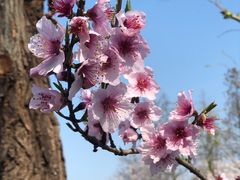 -狼山风景名胜区