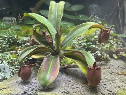 -Zoolung Zoolung动物主题公园(海信广场店)