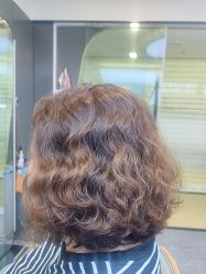 -藤野造型