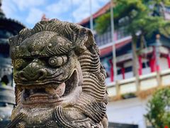 -九华山风景区