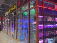 -大自然花鸟鱼虫市场