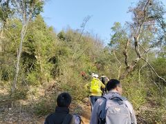 -青龙山国家森林公园