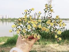 -水西公园