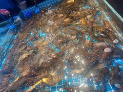 -山海•蒸汽活海鲜自助(皇庭广场店)