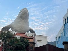 -杭州长乔极地海洋公园