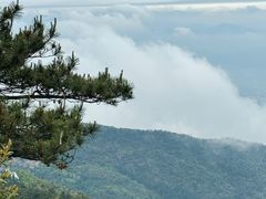 -玉苍山国家森林公园