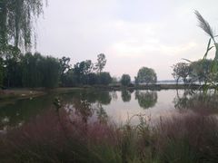 -东湖落雁景区