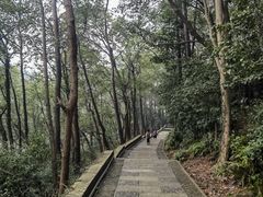 -东钱湖旅游度假区