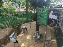 -西霞口神雕山野生动物世界