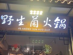 -源之原味·野生菌火锅(大理古城店)