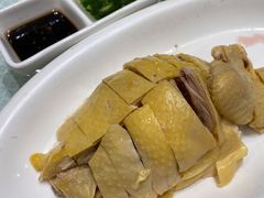白斩鸡-金时代顺风大酒店(南桥百联店)