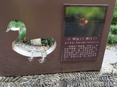 -重庆彩云湖湿地公园
