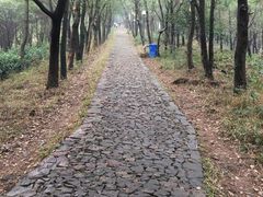 -雨花胜境