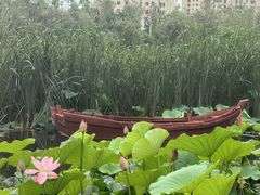 -前关湿地公园