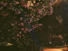 -丰台花园