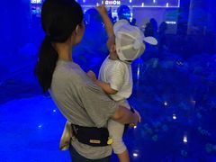 -成都浩海立方海洋公园