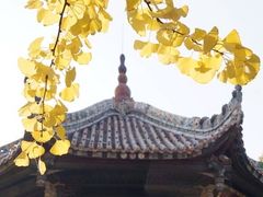-青羊宫