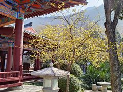-华清宫景区