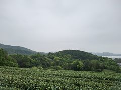 -西湖风景区十里琅珰-五云山