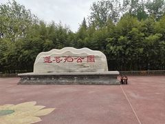 -莲花池公园