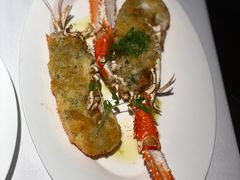 -Oyster Talks 四度蚝法餐厅