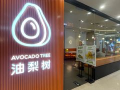 -油梨树 AVOCADO TREE(亮马桥店)
