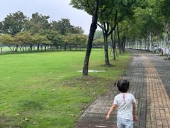 -阳澄湖半岛旅游度假区