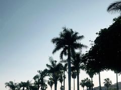 -椰风寨