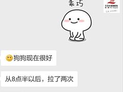 -艾贝尔宠物医院·24H转诊中心·肿瘤猫专科(江宁双龙店)