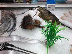 波士顿龙虾-盒马鲜生(莱蒙都会店)