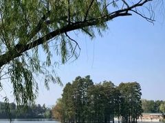 -东湖食堂·湖景餐厅•会议