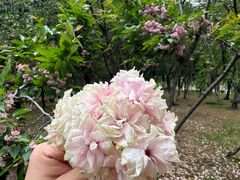 -白塘生态植物园