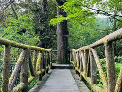 -龙苍沟森林公园