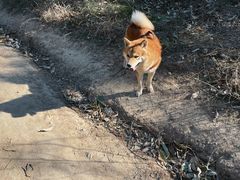 -北京鹫峰国家森林公园