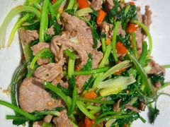 香菜炒牛肉-壹盏灯(惠农店)