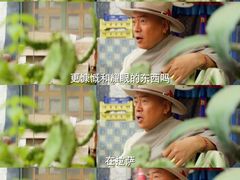 -布达拉宫