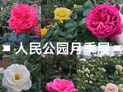 -人民公园(罗湖区)