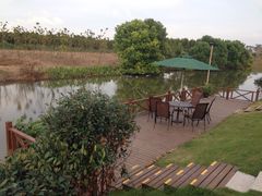 &nbsp;钓鱼台-明珠湖天鹅苑·农家菜馆