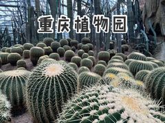 -南山植物园