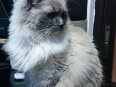 -零纪元VR体验馆·桌游(黄浦店)