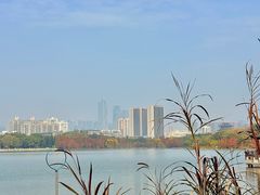 -海珠湖公园